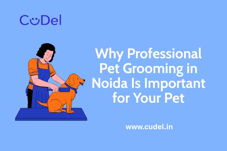 CuDel-Why-Professional-Pet-Grooming-in-Noida-Is-Important-for-Your-Pet