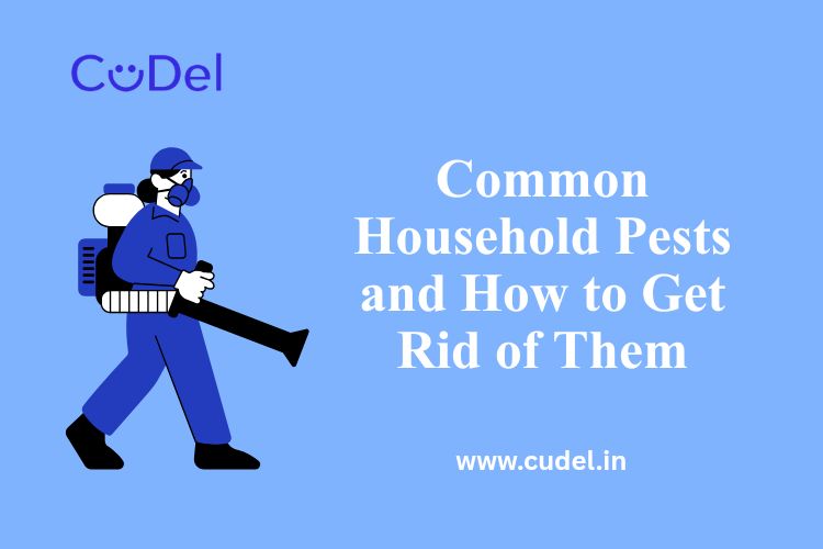 CuDel-Common-Household-Pests-and-How-to -Get-Rid-of-Them