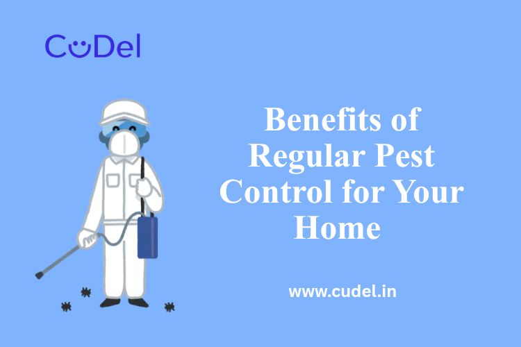 CuDel-Benefits-of-Regular-Pest-Control-for-Your-Home